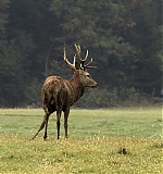 Ime datoteke=_DSC5753_28329.JPG
Velikost datoteke=196KB
Dimenzija=966x1024
Datum objave=23.10.2016 _DSC5753_28329.JPG